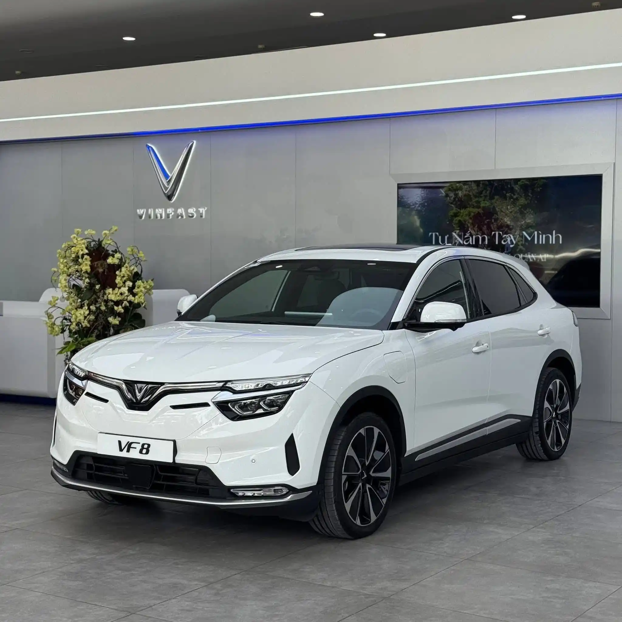VinFast "Tất Tay" Năm 2026