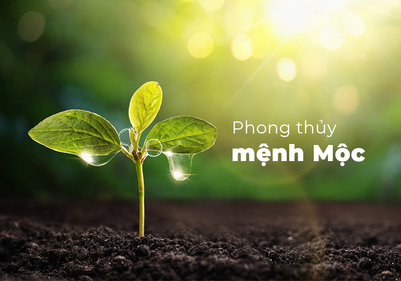 Mức Lương Tối Thiểu Vùng 2026 - Giá Xe 24H