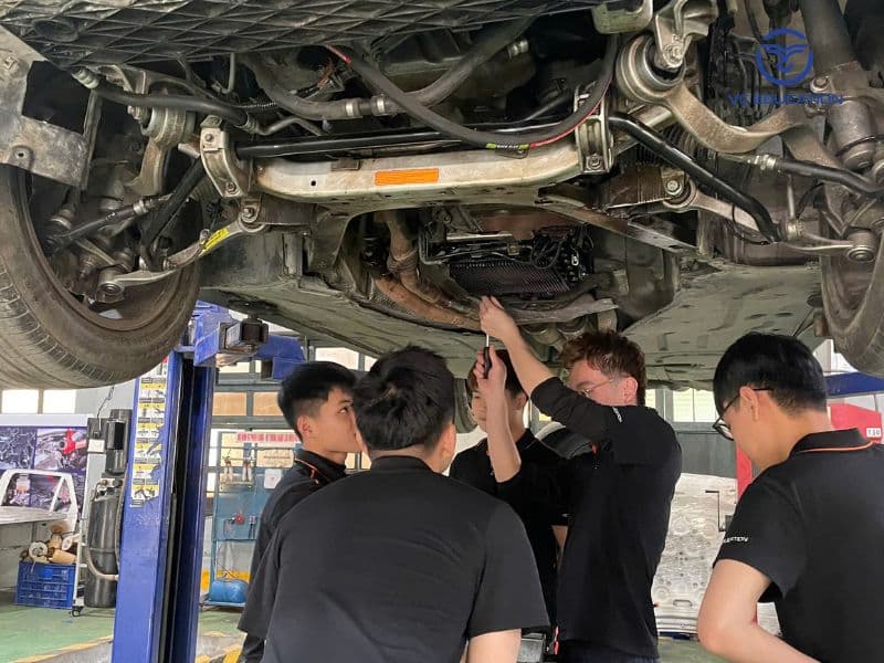Phụ Gia Xăng Ô Tô Tại Việt Nam - Giá Xe 24H
