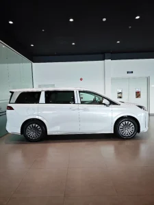 BYD M9 Advanced