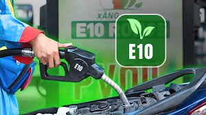 Phụ Gia Xăng Ô Tô Tại Việt Nam - Giá Xe 24H