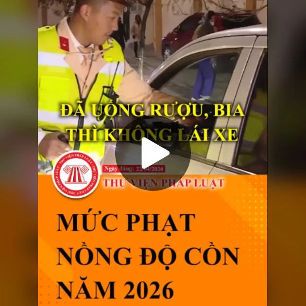 Mức phạt nồng độ cồn 2026 mới nhất | TikTok